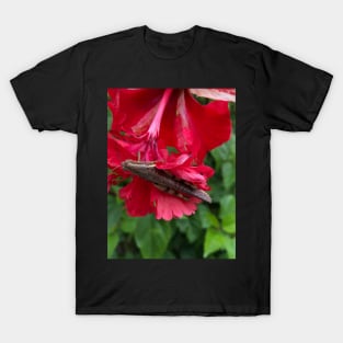 beauty in nature T-Shirt